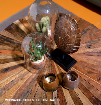 Salontafel met woonaccessoires #Trendhopper #interieur #inspiratie #trend #inspiratie