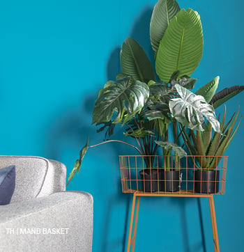 inspiratie trends tips van trendhopper: mand basket als plantenrek in het lente interieur