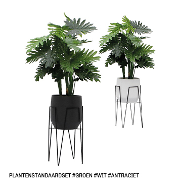 Trendhopper_inspiratie_trend_PLANTENSTANDAARD