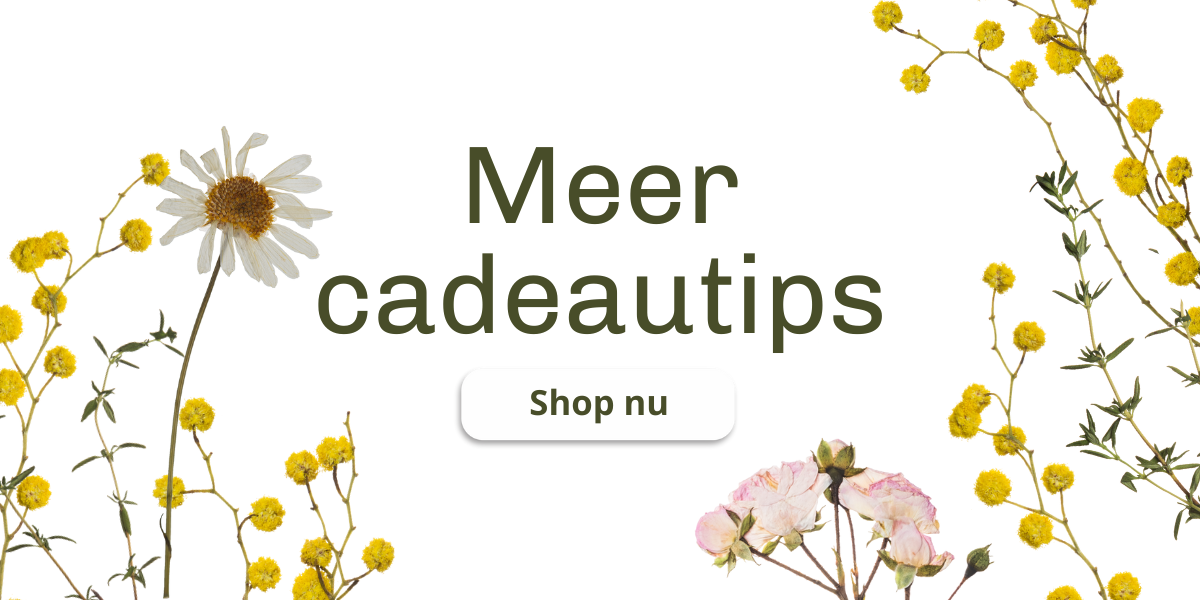 Meer cadeautips