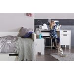 Bureau Maud 1 deur/1  lade