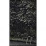 Wanddecoratie Art of Nature 030 70x118cm op fine art plexiglas glanzend met zwarte gallerielijst