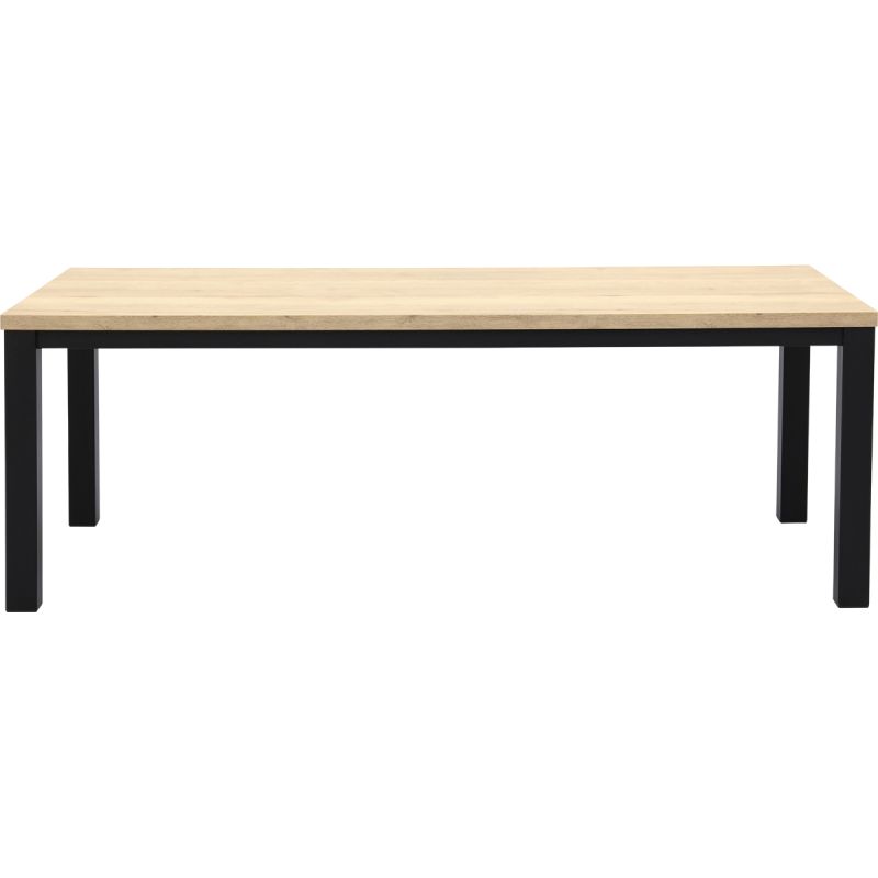 Eettafel Everest 220x100cm