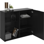 Kast Dronten 1 deur 2 glasplanken