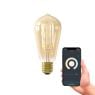 Lichtbron Rustieklamp Smart Goud E27