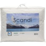 Hoofdkussen Scandi 3 kamer eendendons 60x70
