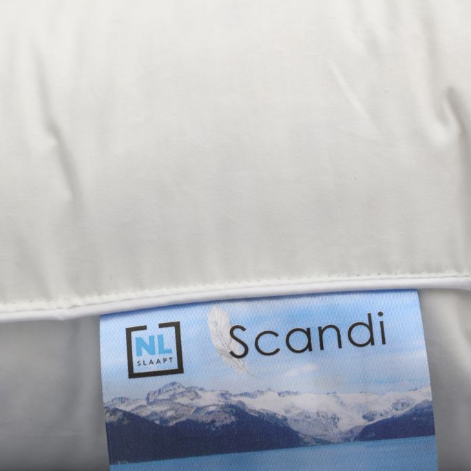 Hoofdkussen Scandi 3 kamer eendendons 60x70