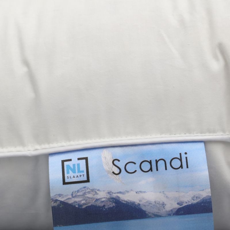 Hoofdkussen Scandi 3 kamer eendendons 60x70