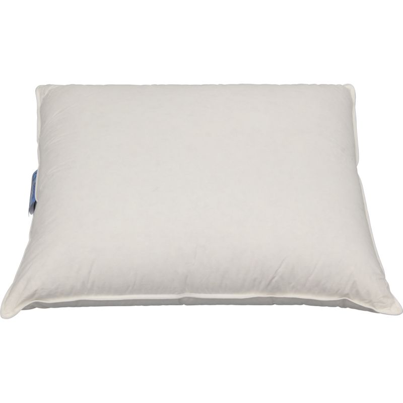 Hoofdkussen Scandi 3 kamer eendendons 60x70