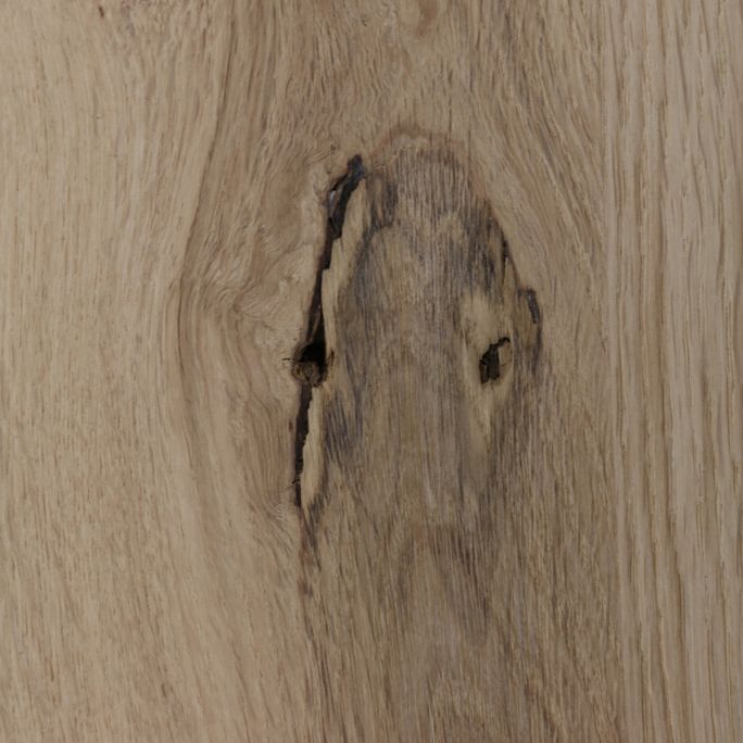 Bartafel Zeno