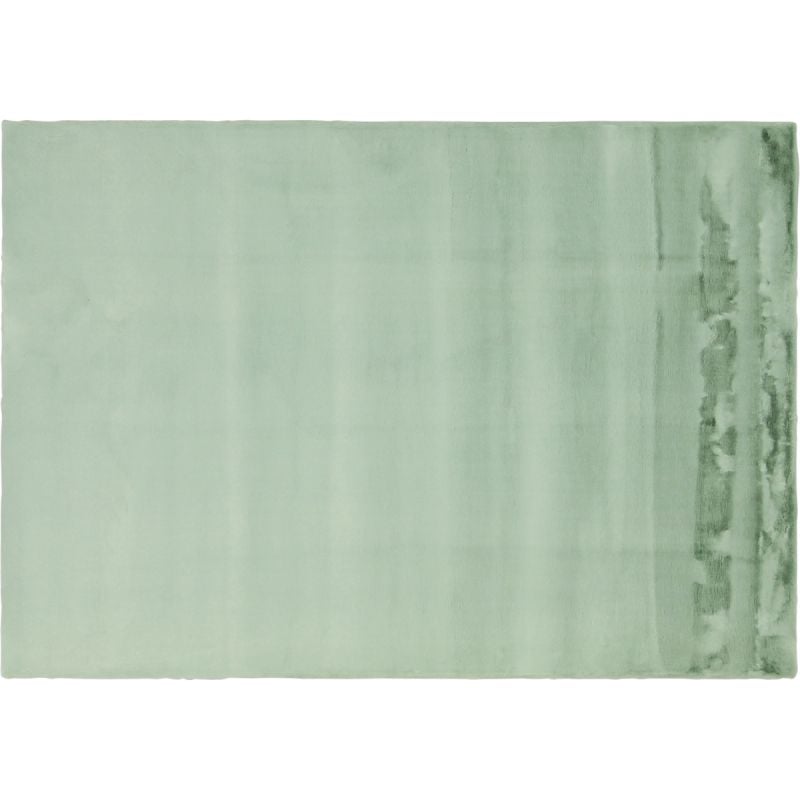 Vloerkleed Perry mintgroen 160x230 afbeelding