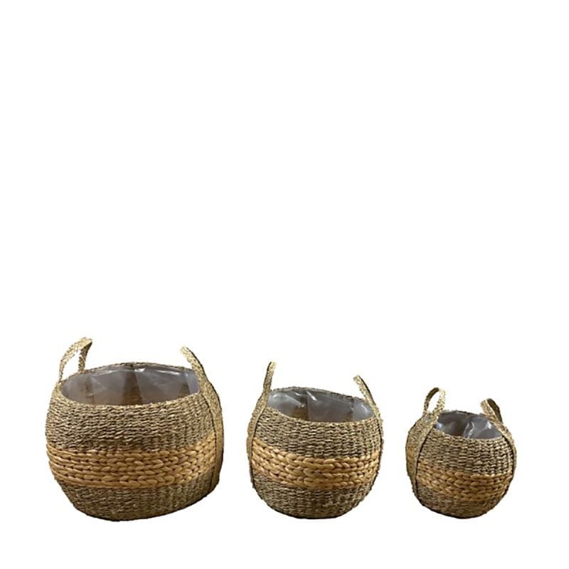 Mand Grass set van 3 afbeelding
