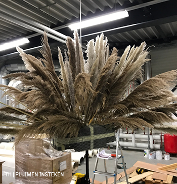 Trendhopper DIY stap 1 steek pluimen pampas in de basis