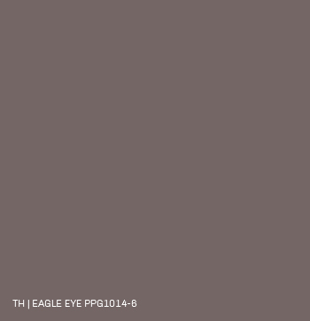 Trendhopper new neutrals styling met nude kleur muurverf Eagle eye PPG1014-6 van Histor